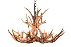 4 Light Mule Deer Antler Chandelier