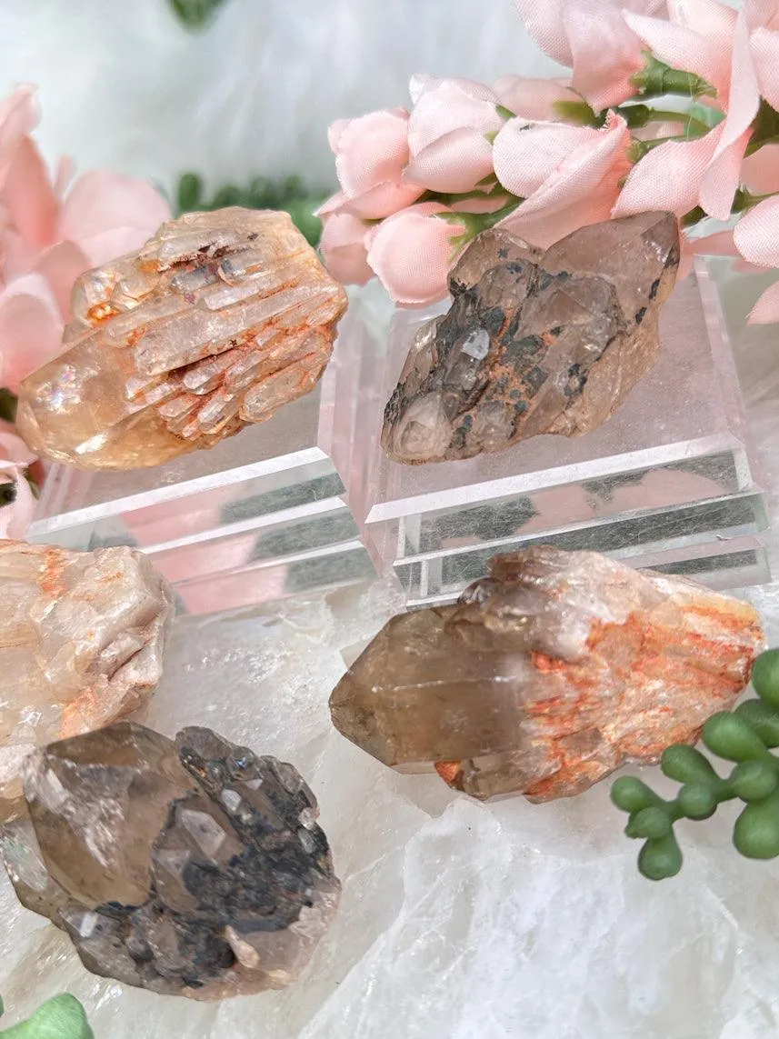 Congo Citrine Clusters