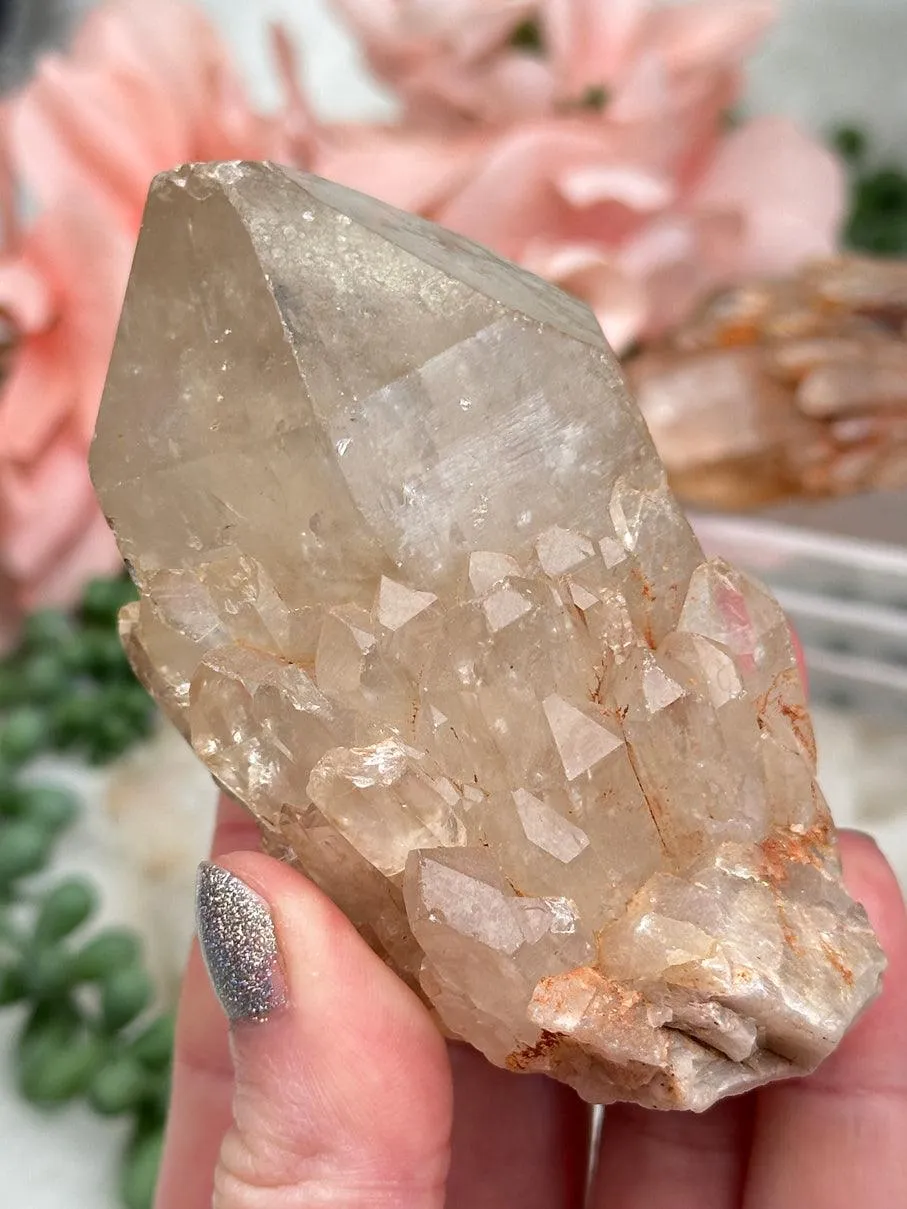 Congo Citrine Clusters
