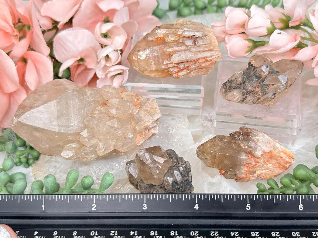 Congo Citrine Clusters