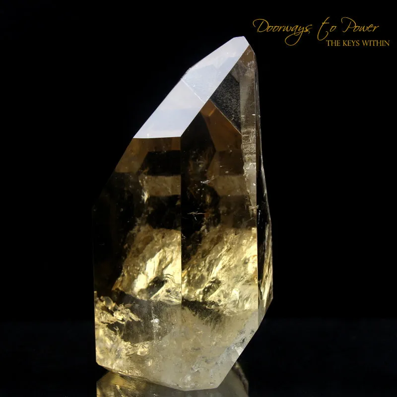 Pure Citrine Quartz Abundance Crystal 'Collectors Quality' A   